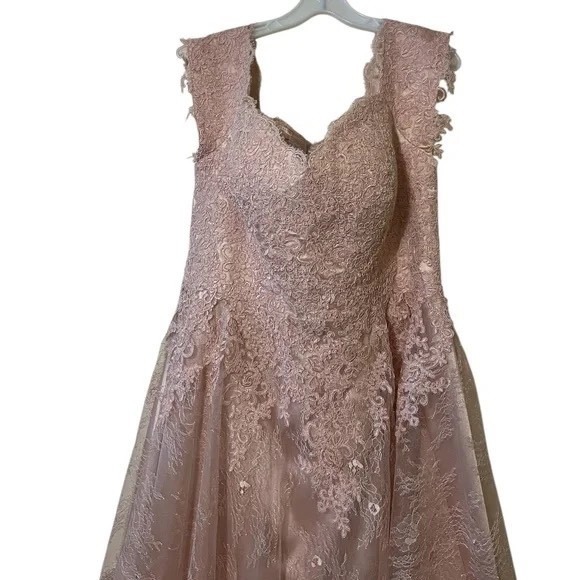 Hebeos A-line Women's Pink Lace Overlay, Cocktail/Party Dress SEE MEASUREMENTS - Picture 7 of 15